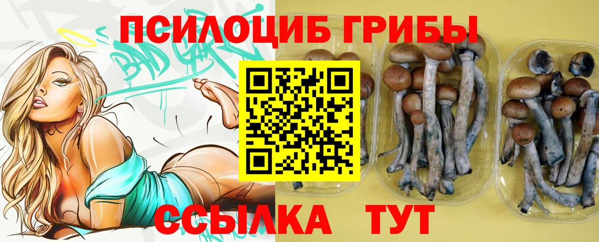 Галлюциногенные грибы Cubensis Дальнереченск