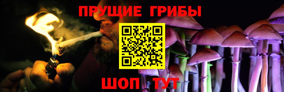 где найти   Вход с VPN  Дальнереченск  Галлюциногенные грибы Psilocybe 